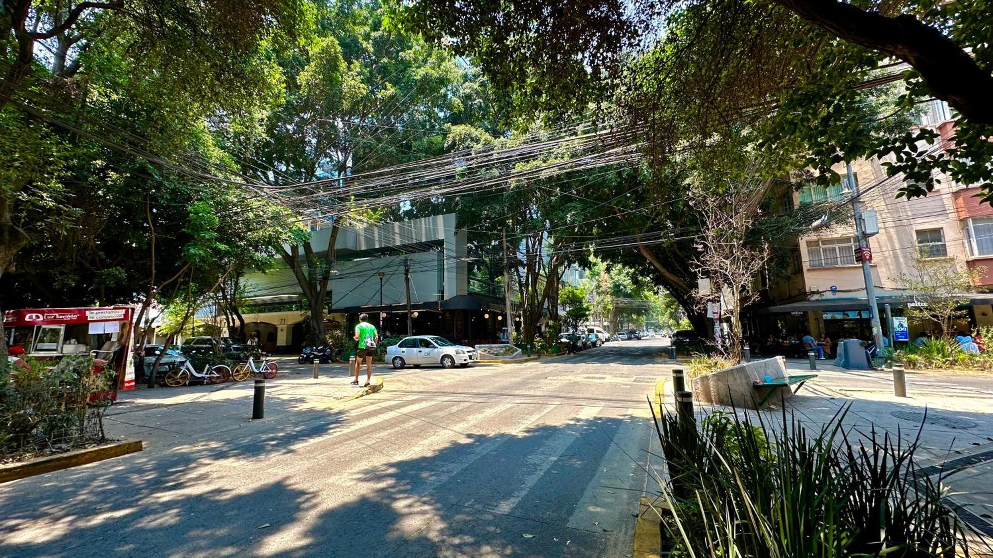 Suites Lerma 205 Ciudad de México Exteriér fotografie