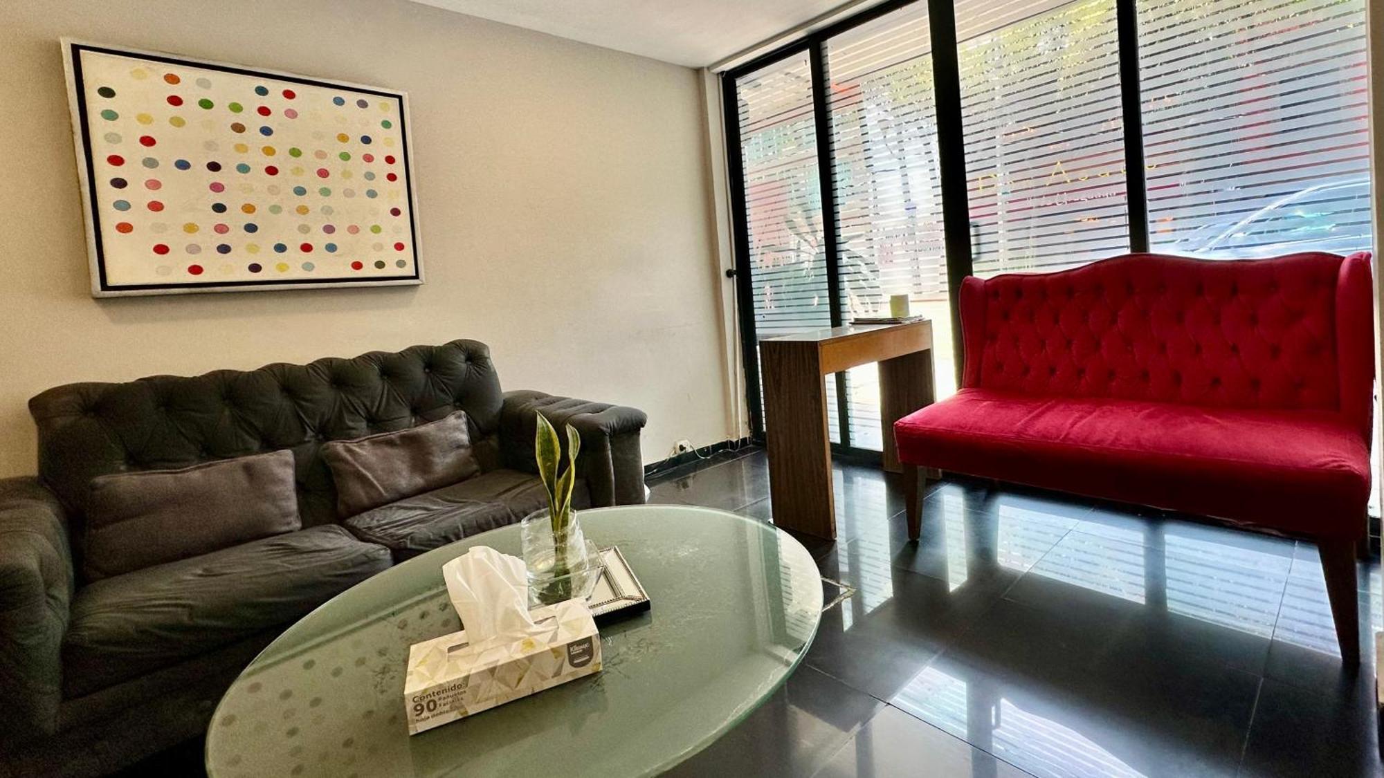 Suites Lerma 205 Ciudad de México Exteriér fotografie